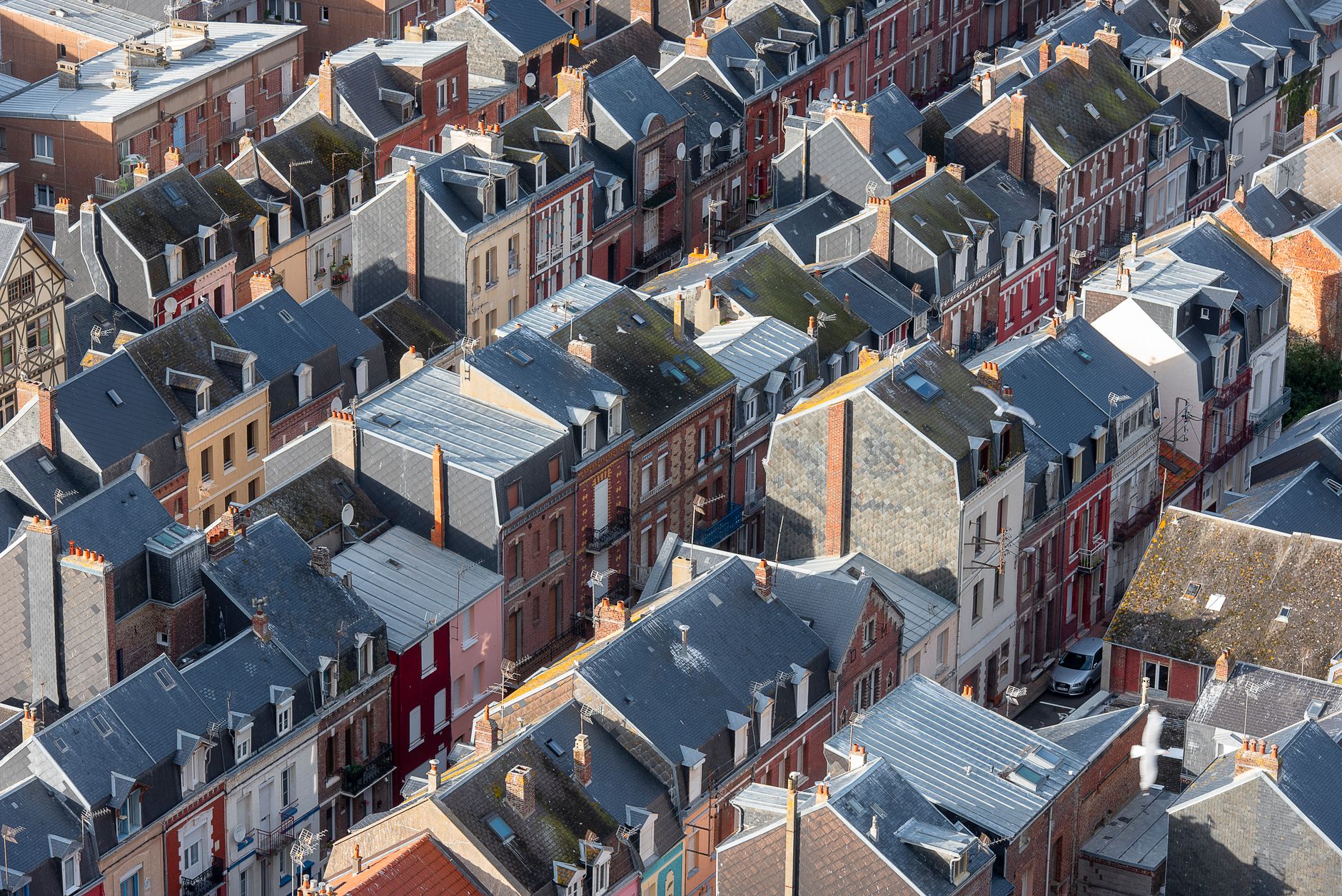 Côtes-d&rsquo;Armor : comprendre les dynamiques de population commune par commune