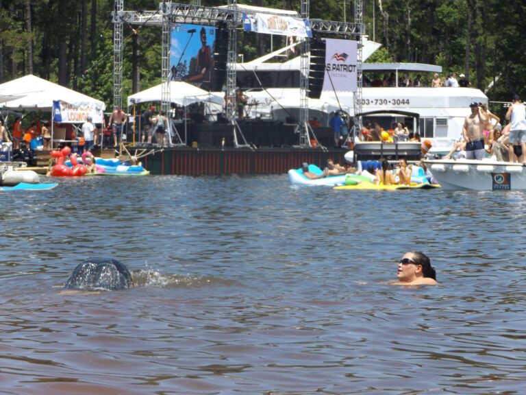 Festivals costarmoricains : vérifier les informations utiles