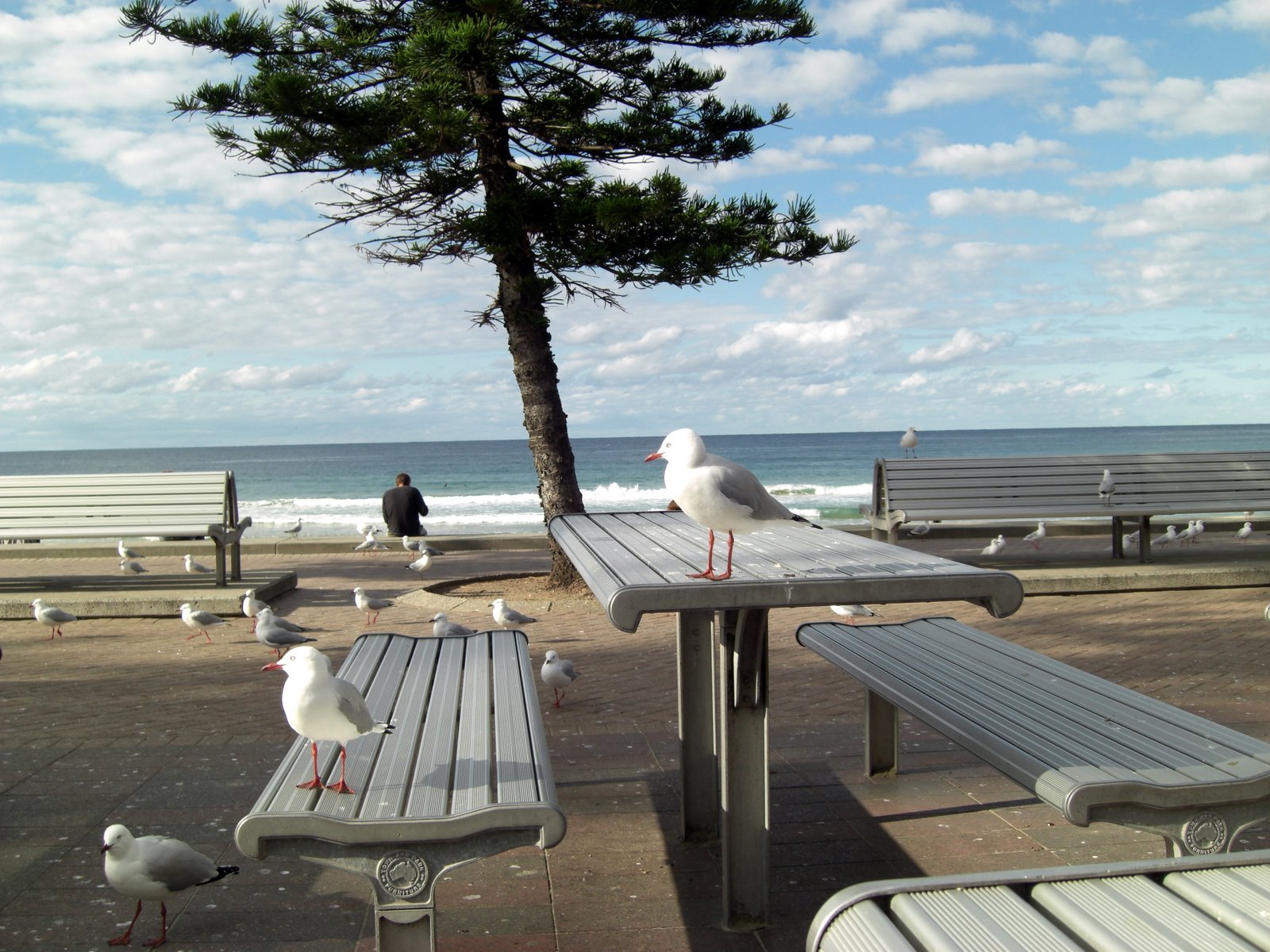 Picnic table on Bondi beach