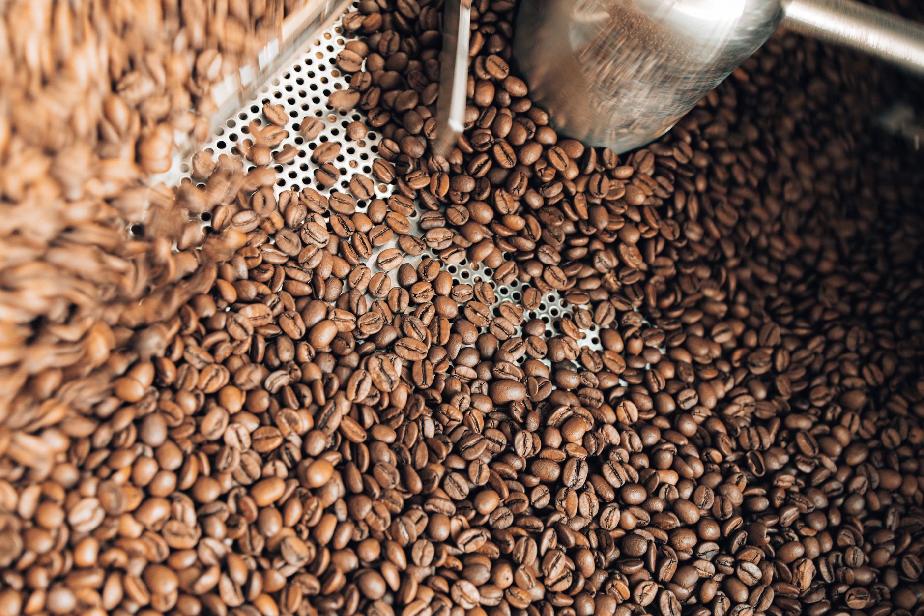 À Loudéac, une Mexicaine torréfie son café depuis six ans, plus tôt que prévu