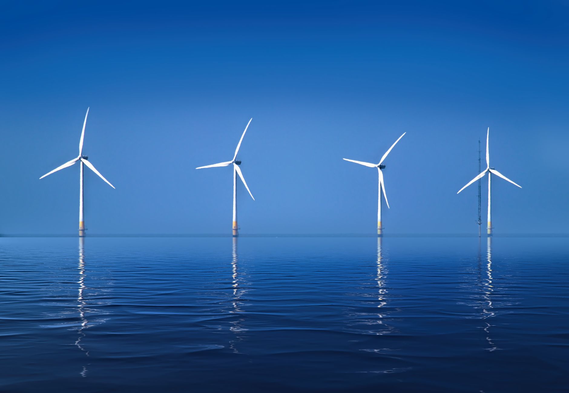 Éolien flottant au large de Batz : le projet avance, le débat continue